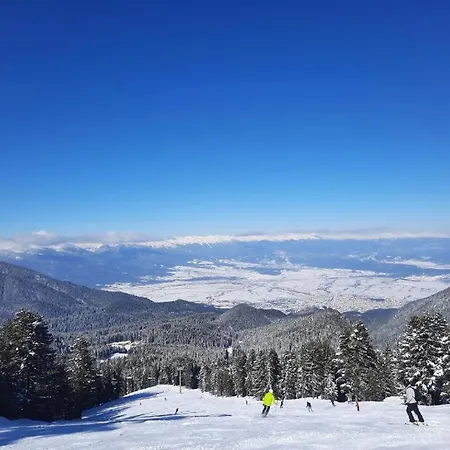 In Aspen * Banszko